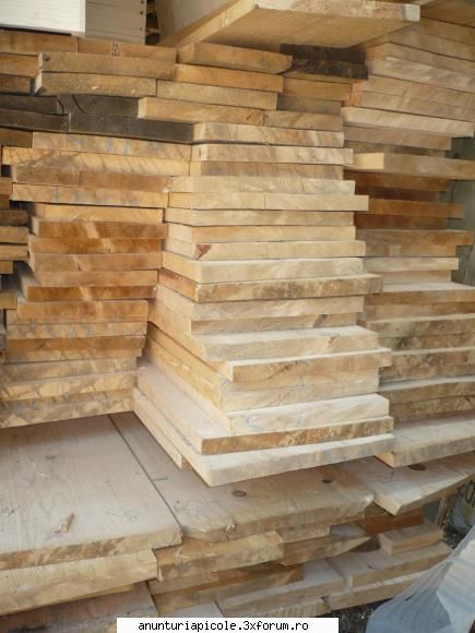 vand lazi stupi noi material lemnos