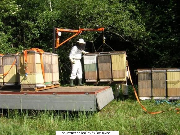 macarale usoare pentru apicultura stupi butoaie pastoral apesi buton gata