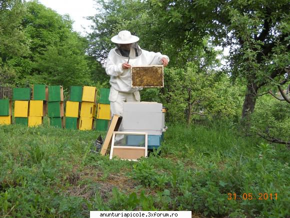 vand echipament apicol salcamul mers bine moldova