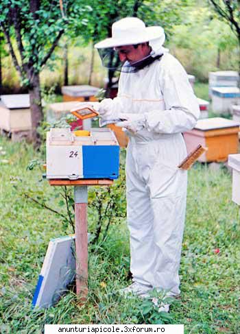 vand echipament apicol cele mai preturi combinezon apicol    100 ron