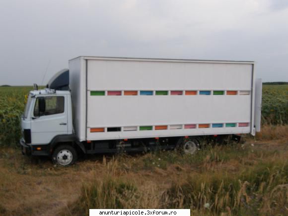 camion apicol stupi vand camion apicol mercedes nou,cu sau fara lazi,fara este 6000 cm.se poate