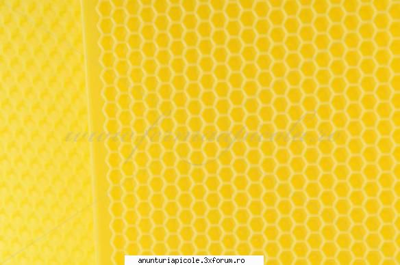 oferta apicole detaliu faguri din plastic